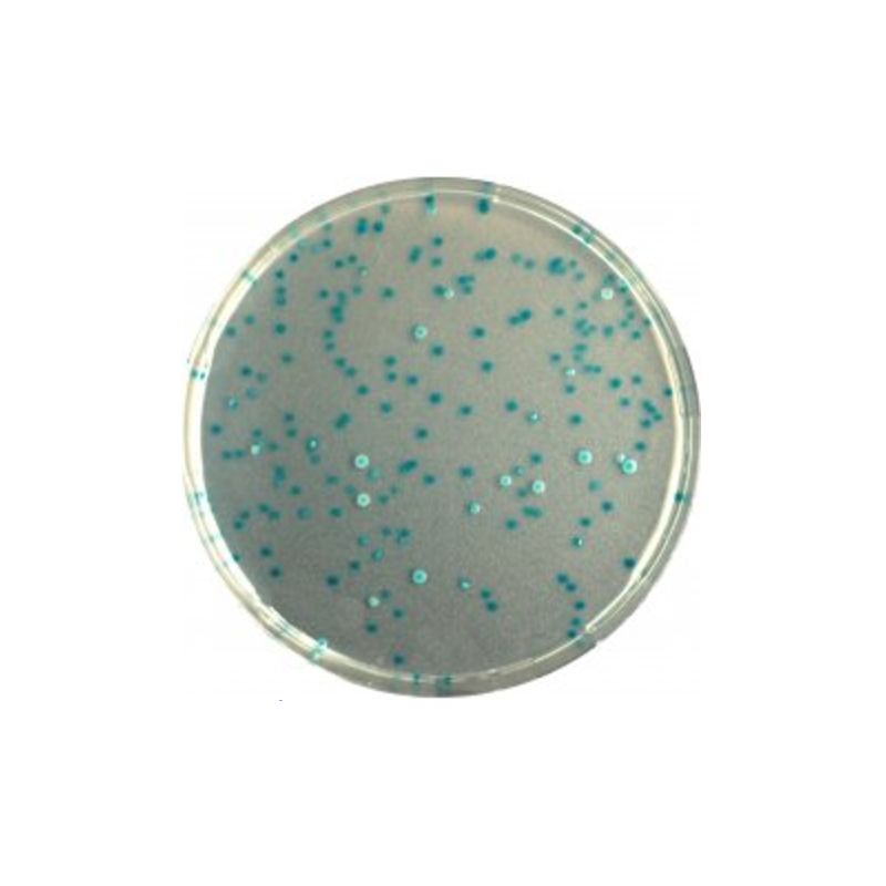 CHROMagar E.coli (1L)