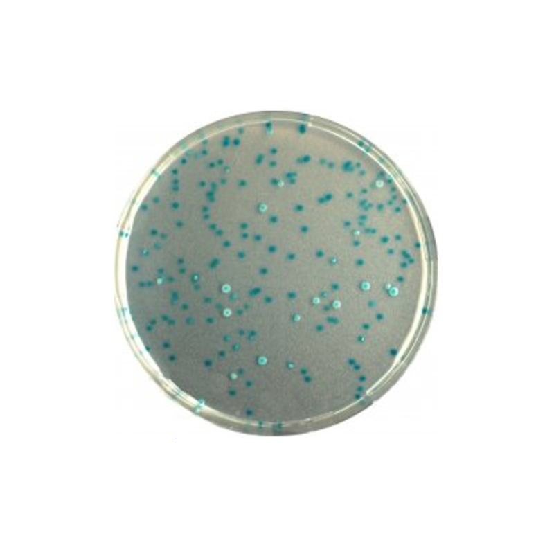 CHROMagar E.coli (5L)