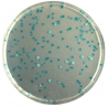 CHROMagar E.coli (5L)