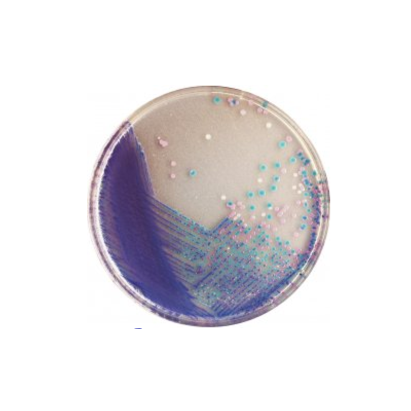 CHROMagar Salmonella Plus (5L)