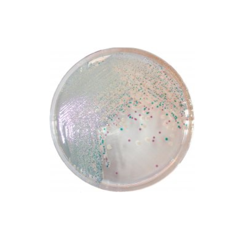 CHROMagar Vibrio (1L)