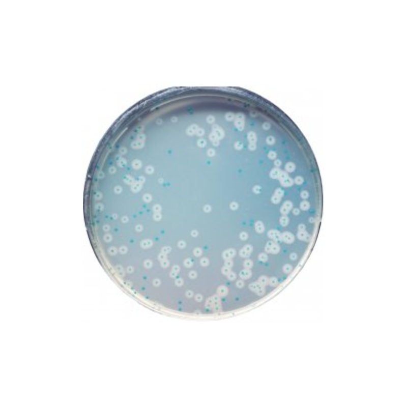 CHROMagar Listeria (5L)