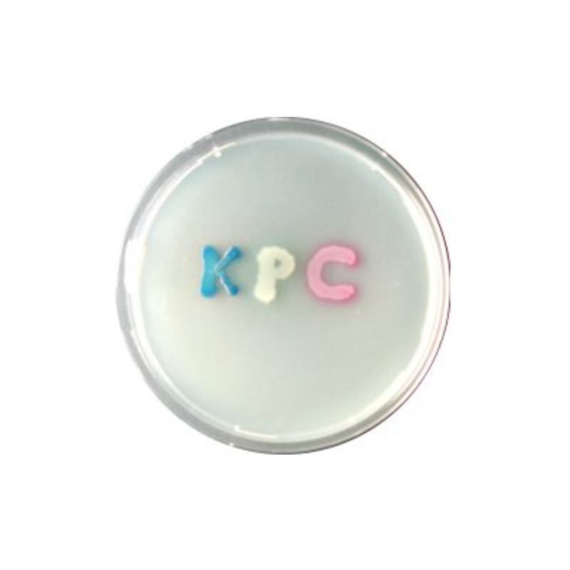 CHROMagar KPC (5L)