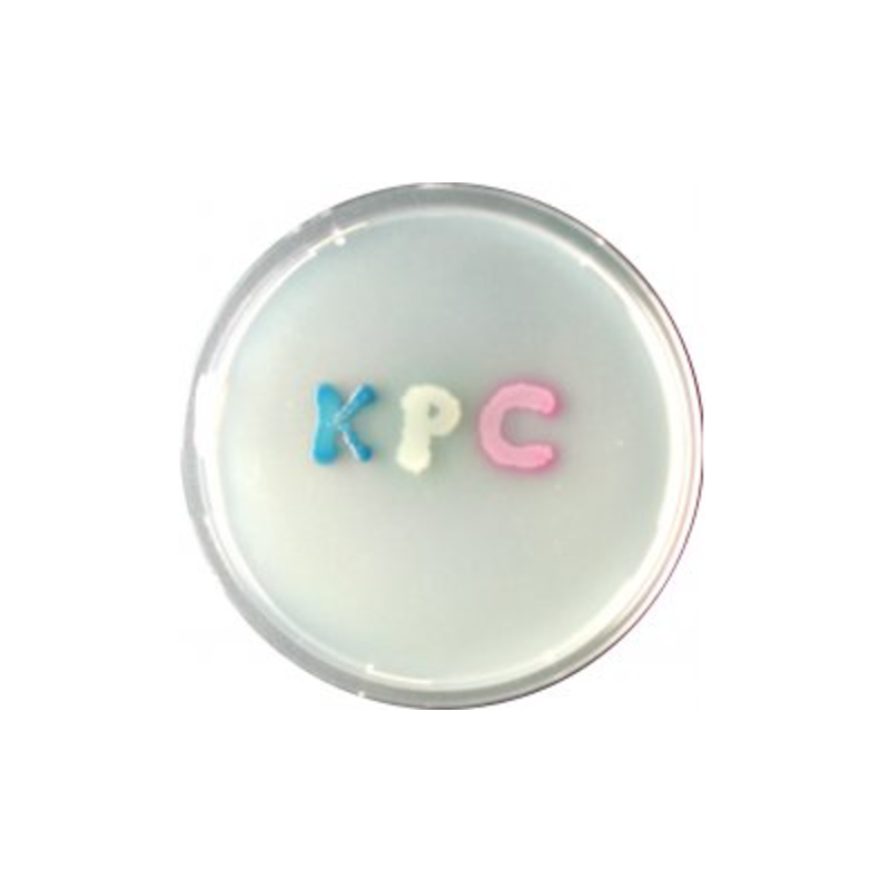 CHROMagar KPC (25L)