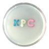 CHROMagar KPC (25L)