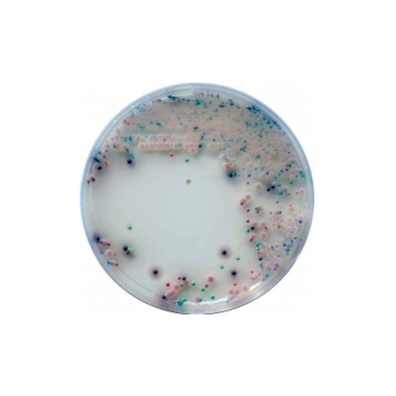 CHROMagar Candida (1L)