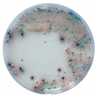 CHROMagar Candida (1L)