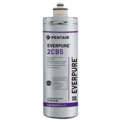 Cartucho Everpure EV9617-05 2CB5, 5 micras, 1 GPM